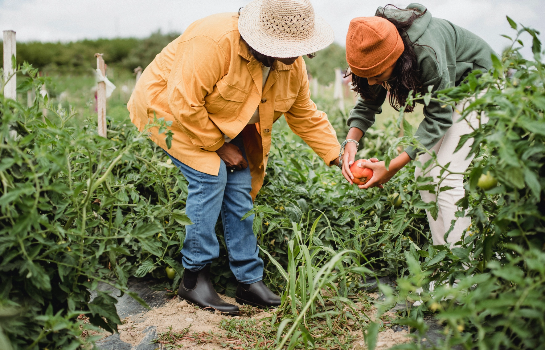 Agent d’entretien de petits travaux et de jardins